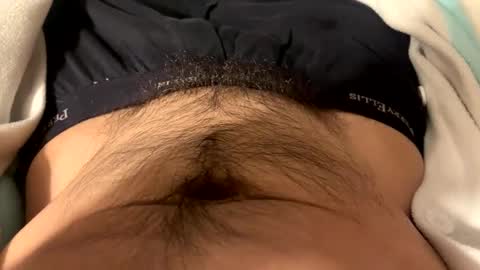 stankfox online show from 21, 12, 2024