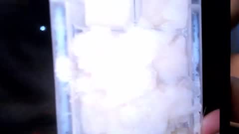 stealth1337 online show from 2, 3, 2026