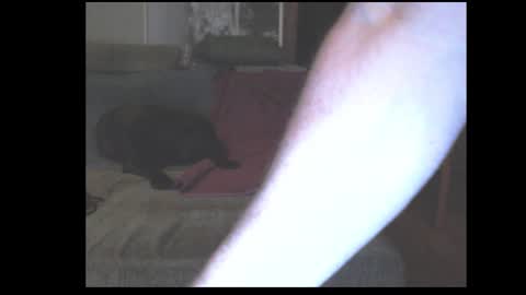 Snapshot of stefangeil123 chatting on 21, 3, 2026 stefangeil123 online show from 21, 3, 2026