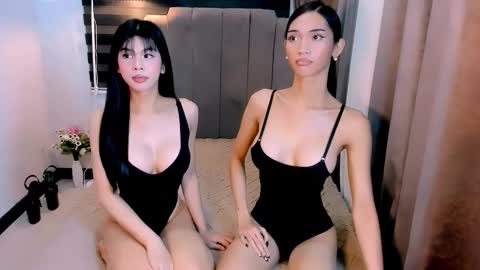 STEF online show from 20, 2, 2026