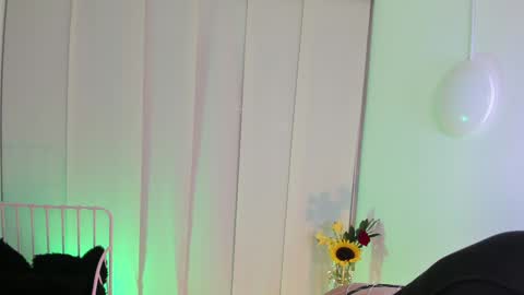 Steffy online show from 6, 1, 2025