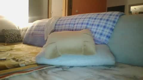 Snapshot of steki038434 chatting on 12, 1, 2025 steki038434 online show from 12, 1, 2025