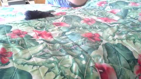 Rocco-load online show from 16, 10, 2025