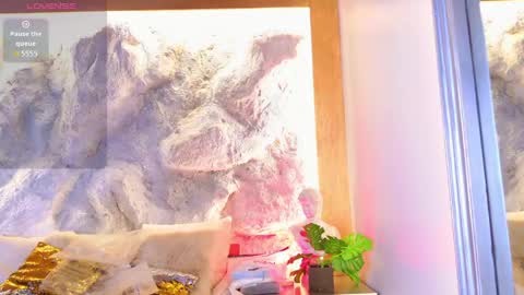 S T E L L A online show from 22, 4, 2026