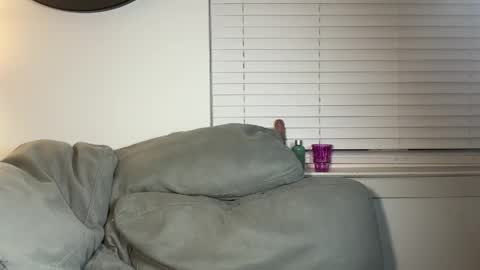 Stella Kay online show from 21, 4, 2026