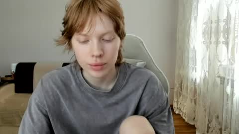 S T E L L A online show from 4, 6, 2026