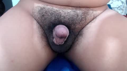 Snapshot of stellaven chatting on 14, 2, 2025 Stellaven online show from 14, 2, 2025