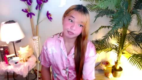 Stella sweet online show from 15, 6, 2026