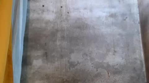 Snapshot of stephanie172 chatting on 16, 1, 2026 stephanie172 online show from 16, 1, 2026