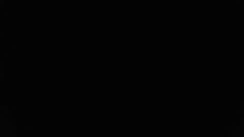 Stew Pididiot online show from 11, 2, 2026