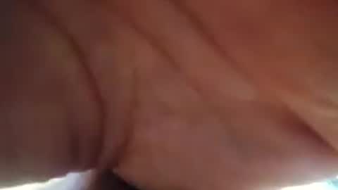 stinkboms online show from 20, 7, 2026