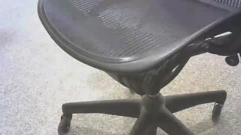 stl hammer online show from 6, 11, 2025