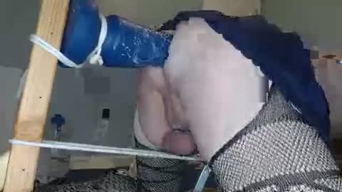 straight_anal85 online show from 26, 11, 2025
