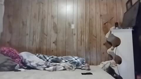 straighttoy online show from 3, 3, 2025