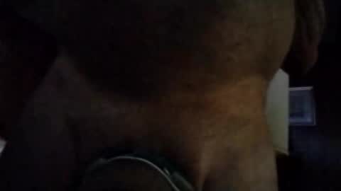 stuffamuffagus69 online show from 16, 11, 2025