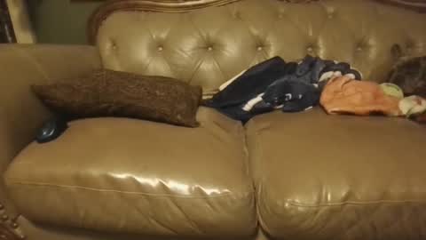 Snapshot of sub_michael41 chatting on 21, 1, 2025 sub_michael41 online show from 21, 1, 2025