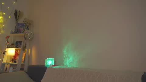 succubus_66 online show from 4, 3, 2026