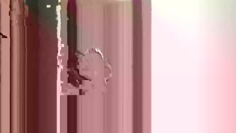 Snapshot of suckmeoffuk chatting on 17, 12, 2025 JJ online show from 17, 12, 2025