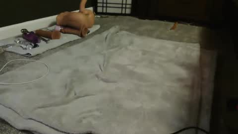 Suga cookie online show from 9, 12, 2024