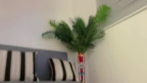 Jess online show from 7, 2, 2025