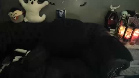 Sugary online show from 8, 11, 2025