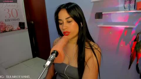 Snapshot of sulmatevans_ chatting on 4, 6, 2026 Diana online show from 4, 6, 2026