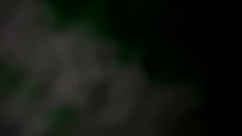 Snapshot of sulyrouse chatting on 10, 3, 2025 suly online show from 10, 3, 2025