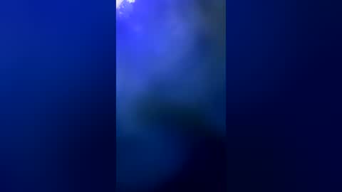 suly online show from 4, 7, 2026