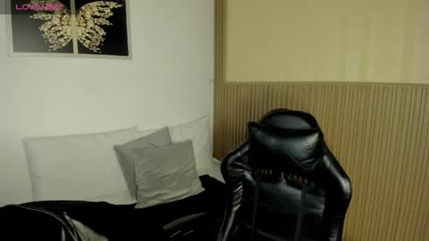 Summer online show from 25, 4, 2026