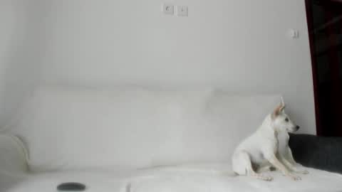 Snapshot of summer_sunshine_ chatting on 21, 10, 2025 Angel PVT show open online show from 21, 10, 2025