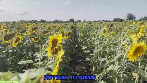 Snapshot of sunflower0907 chatting on 14, 9, 2025 Tina. Im topless model online show from 14, 9, 2025