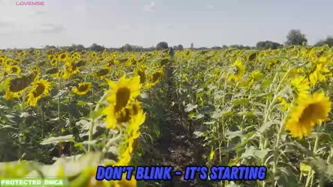 Snapshot of sunflower0907 chatting on 30, 10, 2025 Tina. Im topless model online show from 30, 10, 2025