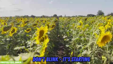 Snapshot of sunflower0907 chatting on 5, 2, 2026 Tina. Im topless model online show from 5, 2, 2026