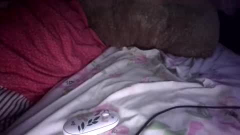 sunnkissed slick online show from 9, 9, 2025