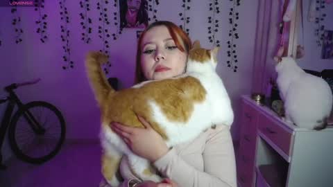 Sunset online show from 1, 10, 2025