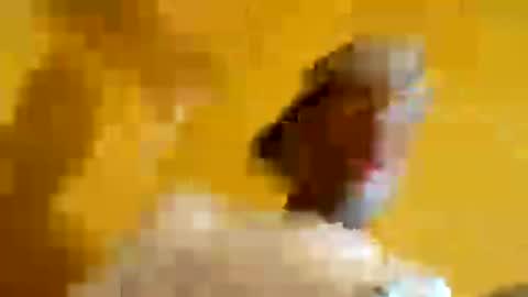 Snapshot of superbj245 chatting on 13, 6, 2026 superbj245 online show from 13, 6, 2026