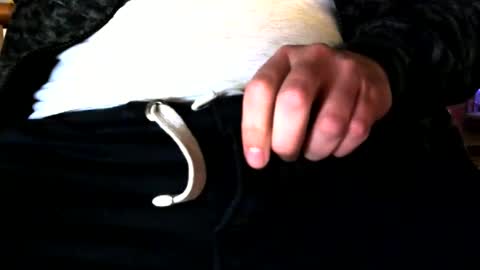 superstuntman1 online show from 10, 2, 2025