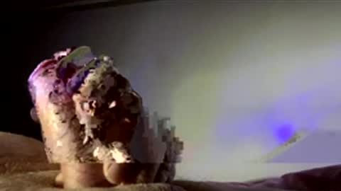 Snapshot of surgenz73 chatting on 16, 1, 2026 surgenz73 online show from 16, 1, 2026