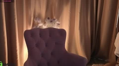 Snapshot of susan__clark chatting on 17, 5, 2026 Annie online show from 17, 5, 2026