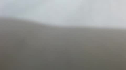 Suzy online show from 17, 2, 2026