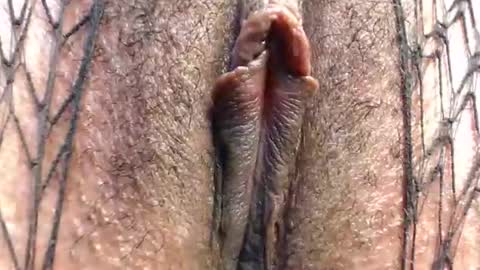 Suzy online show from 25, 4, 2026