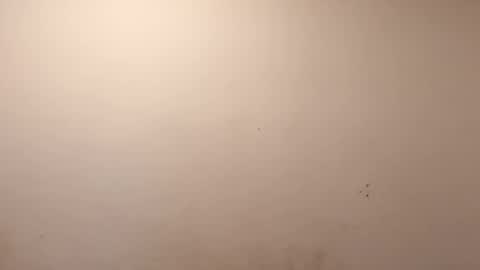 sweaterboy666 online show from 10, 3, 2026