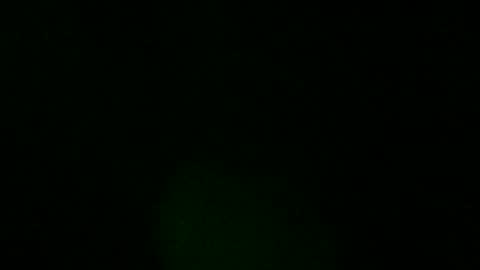 sweeetiiefox online show from 24, 2, 2026