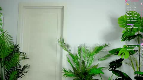 Alice online show from 3, 10, 2025