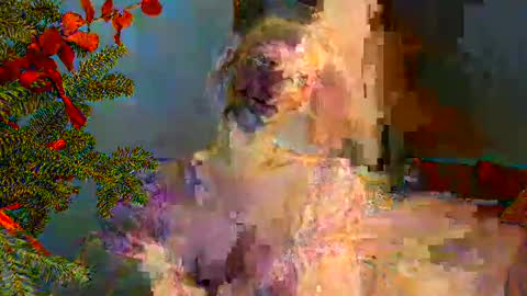 Miranda online show from 30, 12, 2024