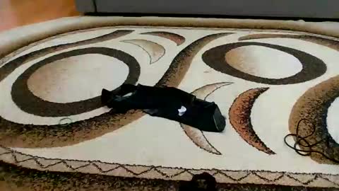 Snapshot of sweet_bluegirl chatting on 6, 3, 2026 Sweet bluegirl online show from 6, 3, 2026