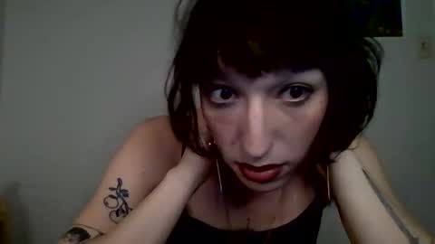 sweet_harvey online show from 10, 4, 2026