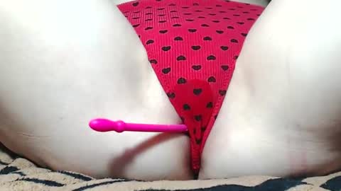 Kitten online show from 17, 6, 2026