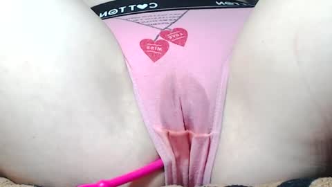 Kitten online show from 25, 6, 2026