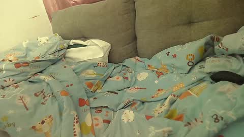 Stacy online show from 2, 1, 2025